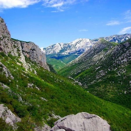 Apartmani Mila ستاريغغاد باكلينتسا المظهر الخارجي الصورة