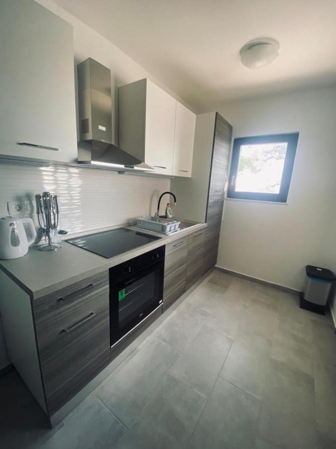 Apartmani Mila ستاريغغاد باكلينتسا المظهر الخارجي الصورة