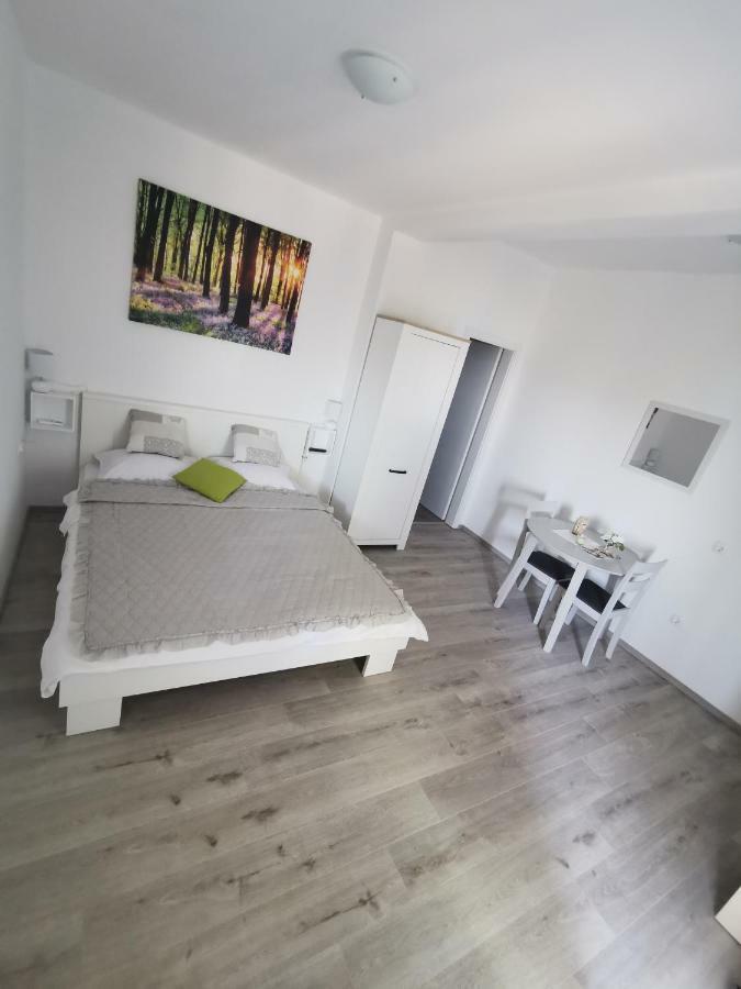 Apartmani Mila ستاريغغاد باكلينتسا المظهر الخارجي الصورة