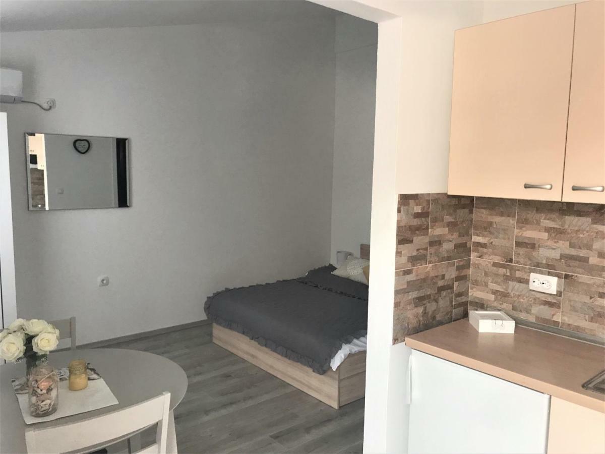 Apartmani Mila ستاريغغاد باكلينتسا المظهر الخارجي الصورة