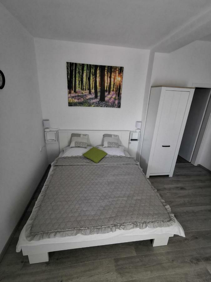 Apartmani Mila ستاريغغاد باكلينتسا المظهر الخارجي الصورة