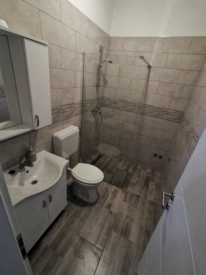 Apartmani Mila ستاريغغاد باكلينتسا المظهر الخارجي الصورة